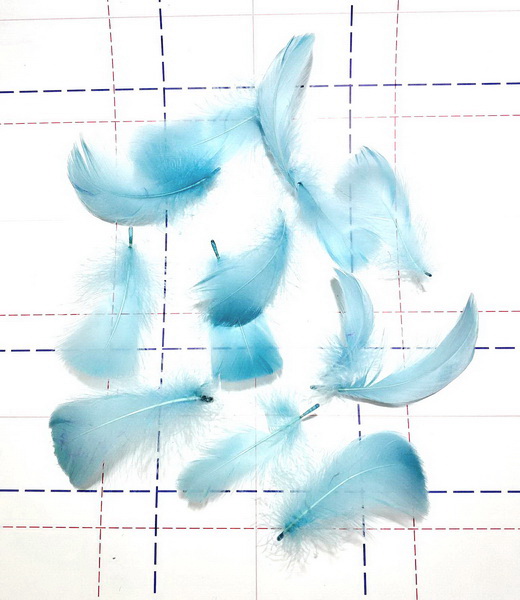 17 Перья декоративные однотон 6-12см (+-1см) голубой