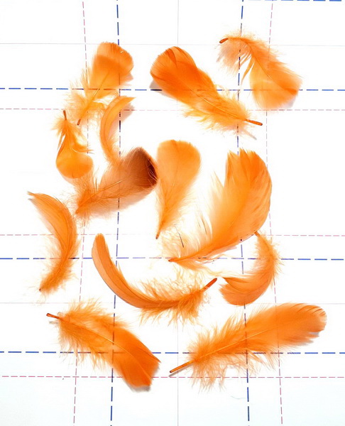 15 Перья декоративные однотон 6-12см (+-1см) оранжевый
