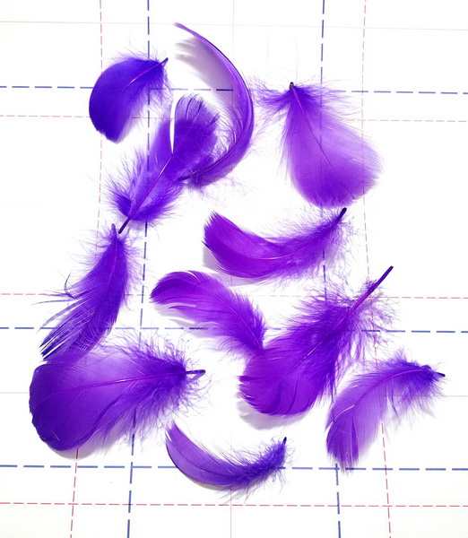 19 Перья декоративные однотон 6-12см (+-1см) фиолетовый